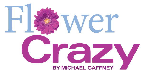 Flower Crazy by Michael Gaffney