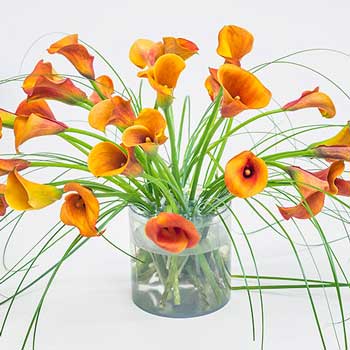 Flower Crazy by Michael Gaffney | DIY Floral Design System